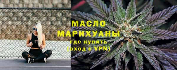 дмт Осинники