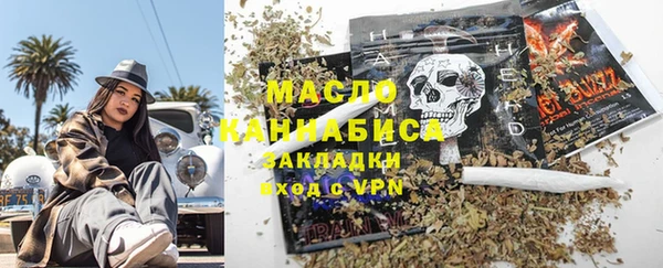 дмт Осинники