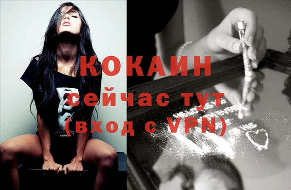 дмт Осинники