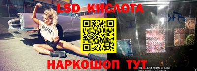 прущие крисы Гатчина