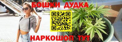 прущие крисы Гатчина