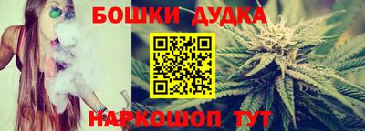 прущие крисы Гатчина
