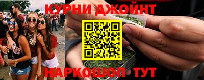 прущие крисы Гатчина