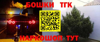 прущие крисы Гатчина