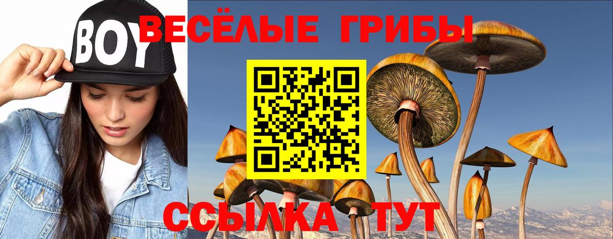 Псилоцибиновые грибы Psilocybe  Вход с VPN  Усолье-Сибирское 